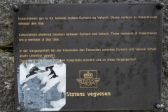 L1002439