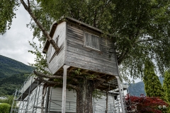 L1002545
