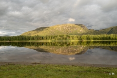 L1002386 L1002386