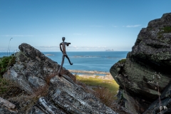 Q1004508 Q1004508