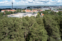L1006166