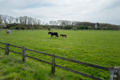 L1005833-2