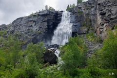 Z1A9342 Z1A9342