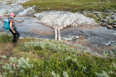 L1006279 L1006279
