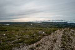 L1006288 L1006288
