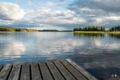L1006183 L1006183