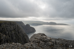 L1006255 L1006255