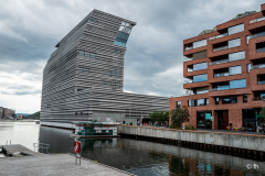 L1006591