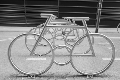 L1006598